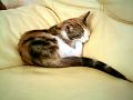 Caramel 08-04 013